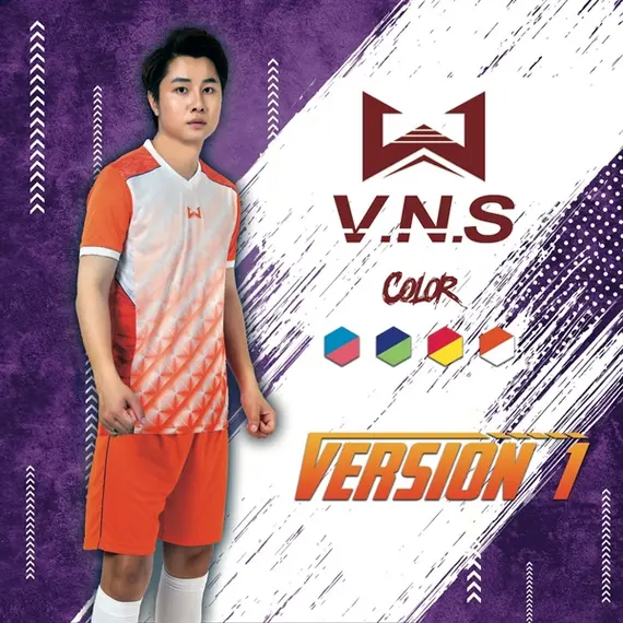 VNS VERSION2