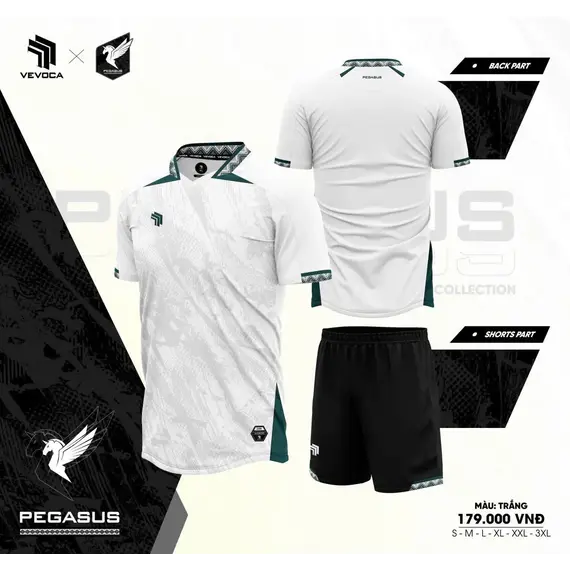 QA BÓNG ĐÁ PEGASUS HP