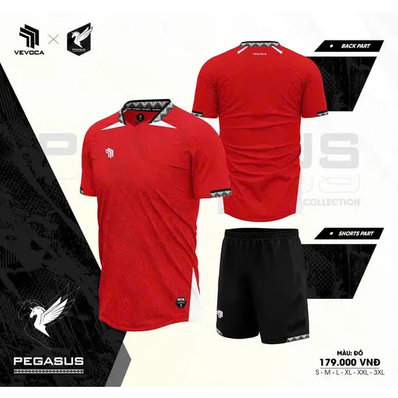 QA BÓNG ĐÁ PEGASUS HP