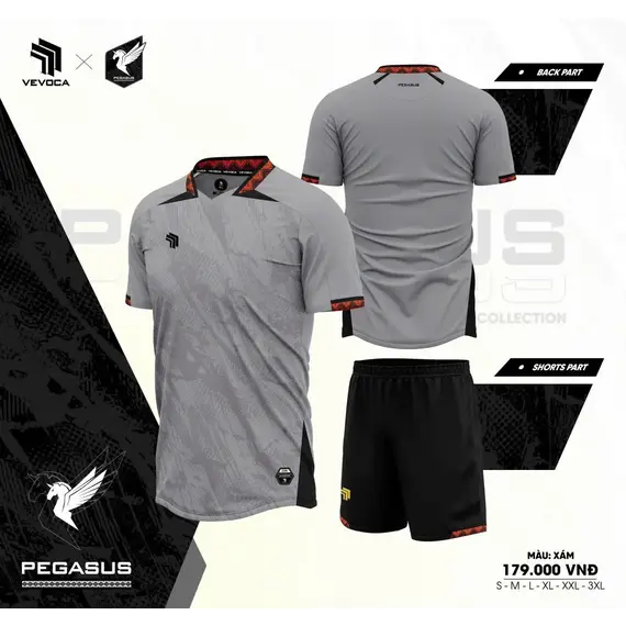 QA BÓNG ĐÁ PEGASUS HP