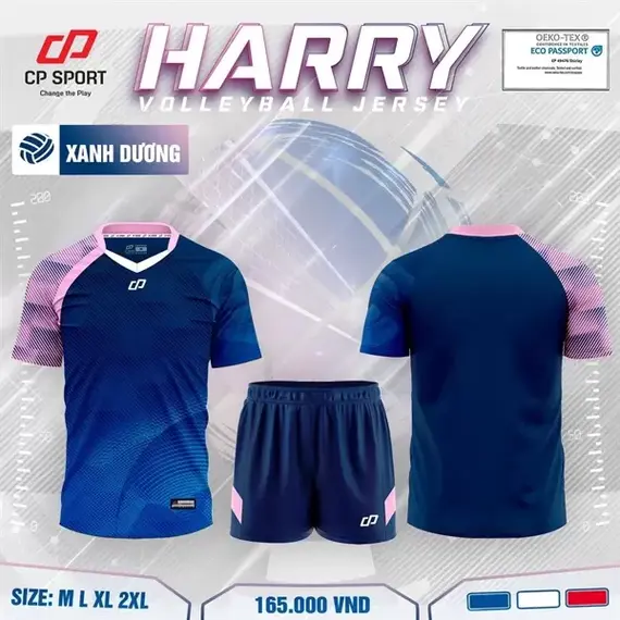 QA BÓNG CHUYỀN NAM HARRY CP