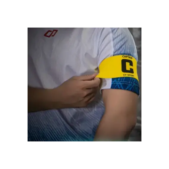 BĂNG ĐỘI TRƯỞNG CP